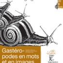 escargot-gogo-300.gif